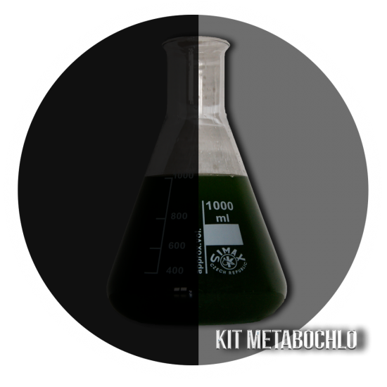 ✭ Kit MetaboChlo - Métabolisme Chlorella vulgaris ✭ 