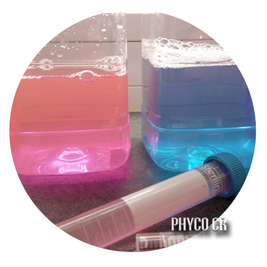 PhycoCR - Support de cours marqueurs fluorescents